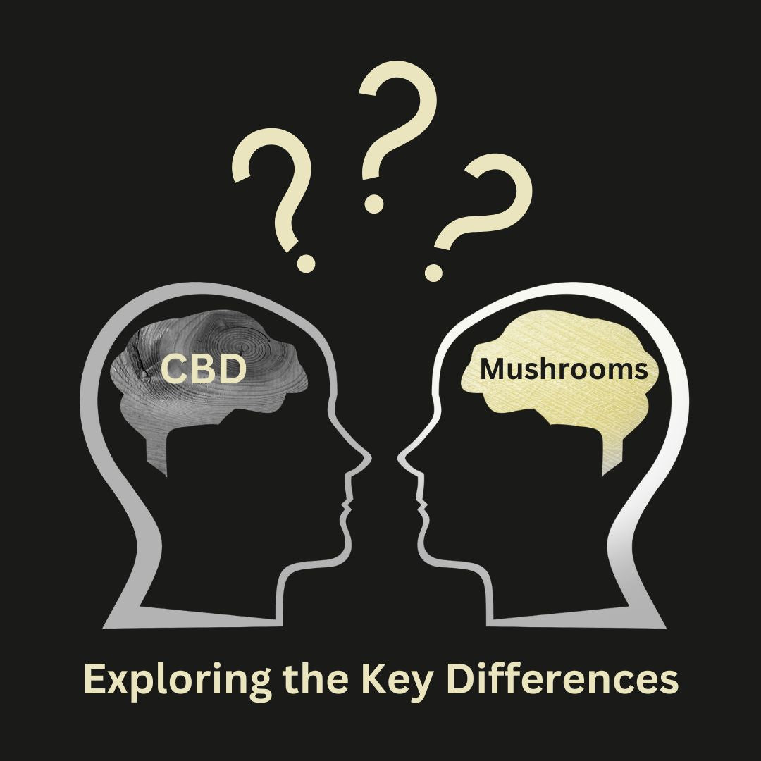 CBD vs Functional Mushrooms