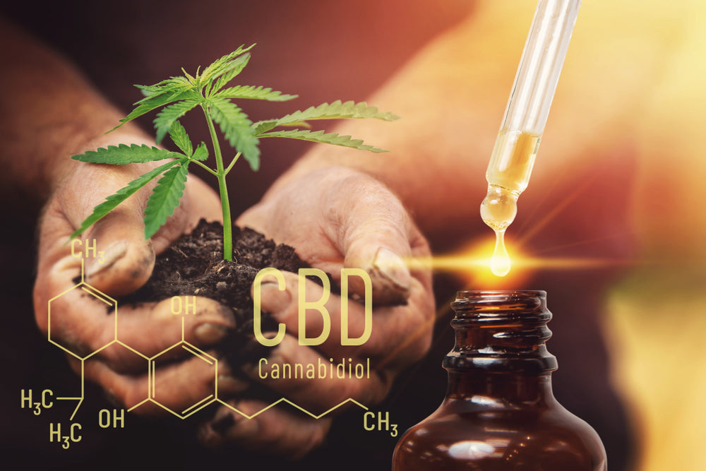 Full Spectrum CBD Tincture