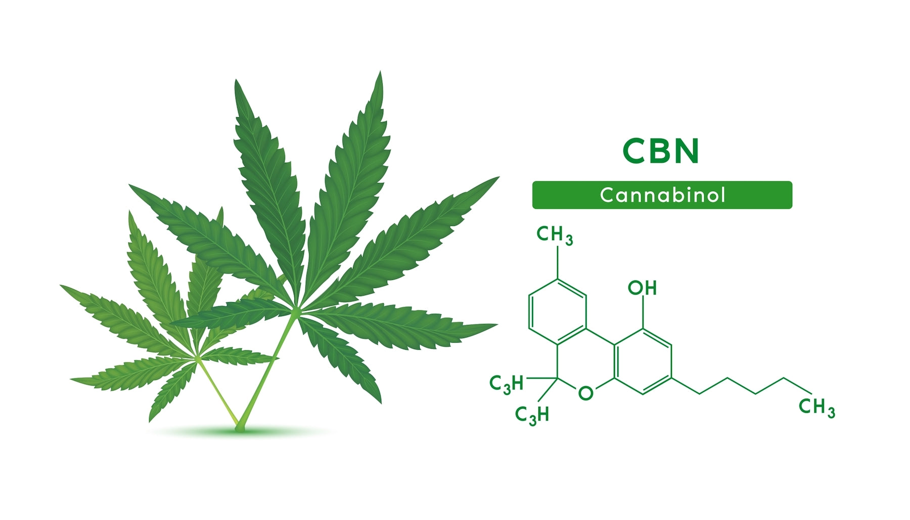 What is CBN? | What are the Benefits of CBN?