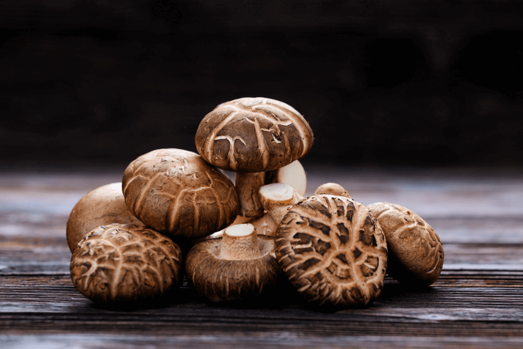 Functional mushroom extracts