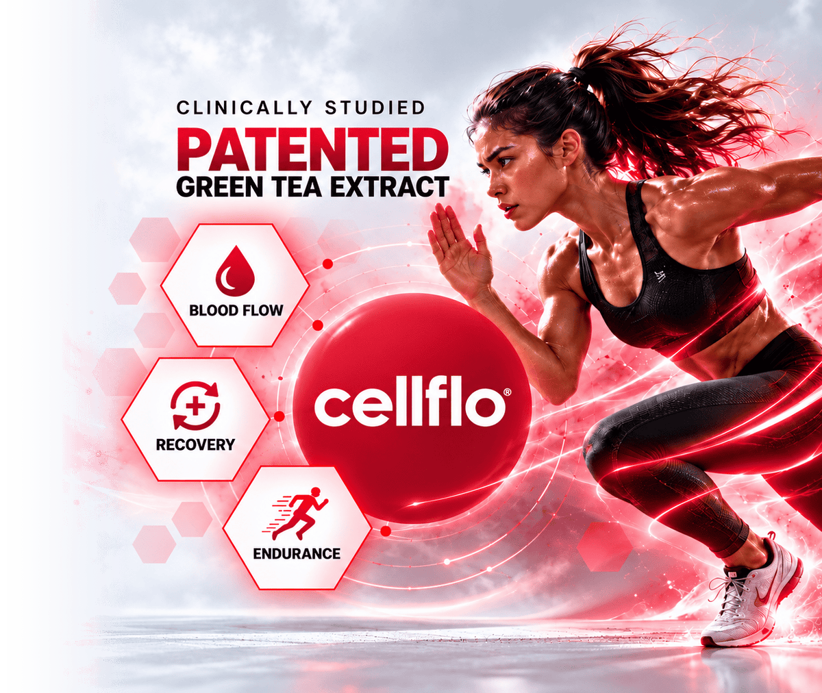 cellflo6 clinically studied patented green tea extract